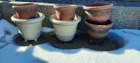 Plant flower pots