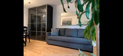 Condo appartement à louer - 2CC - Ahuntsic  - 4 1/2