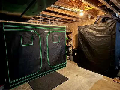 Indoor Current Culture Hydroponic Grow System with 2 Tents, View more