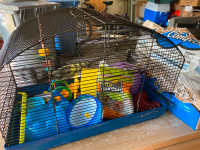 Large hamster starter kit. Everything you need for a new hamster