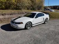 2003 Mustang MACH1 for sale.