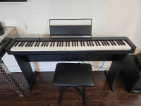 Piano CDP-S100