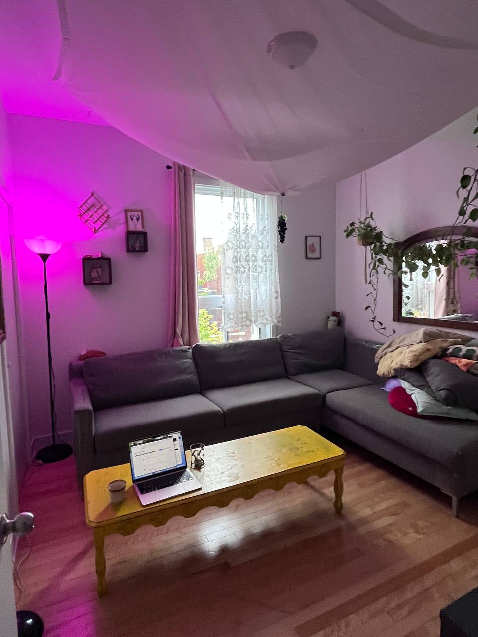 Room for rent in a large sunny plateau apartment — photo 3