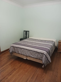 Room available now downtown - bathurst / bloor 