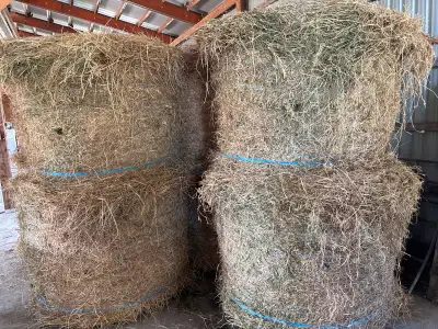 Hay - 5 ft Round Bales, View more