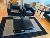 Two leather chairs with coffee table 