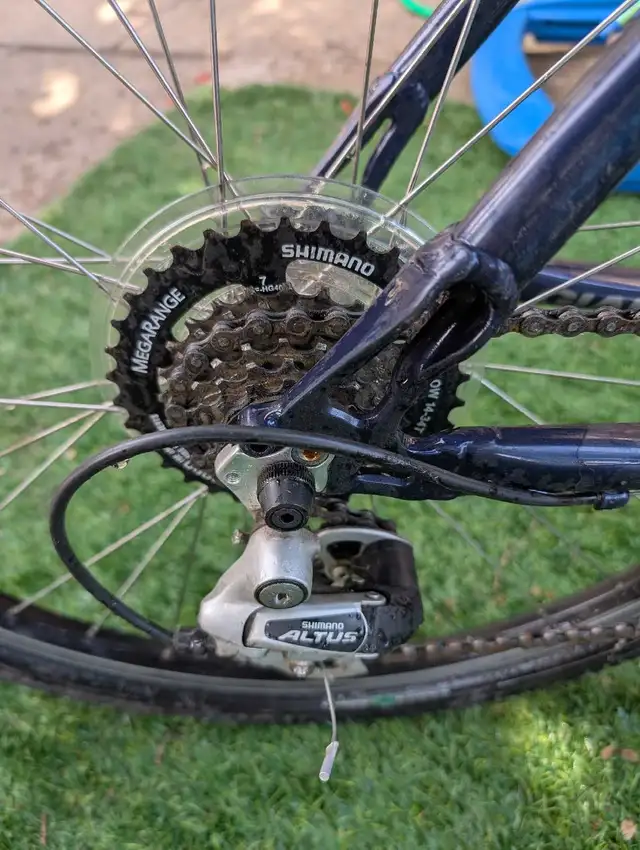 Giant Sedona in Mountain in Strathcona County - Image 5