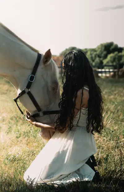 Looking for magical, soulful photos with horses? Hi neighbors! I’m a photographer based in Caledon,...