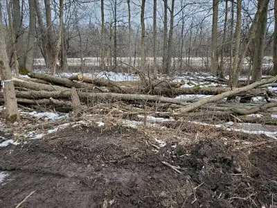 Hardwood Logs and Firewood For Sale, View more