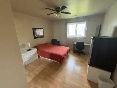 Cette chambre à louer comprend un lit, un bureau, une télévision, un mini-réfrigérateur et un accès...