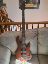 ESP LTD 5 String Bass with Peavy AMP
