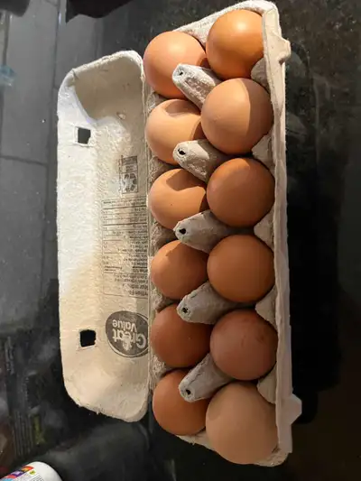 fresh brown free range eggs, View more