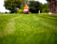 Jim Fletcher Lawn care and landscaping