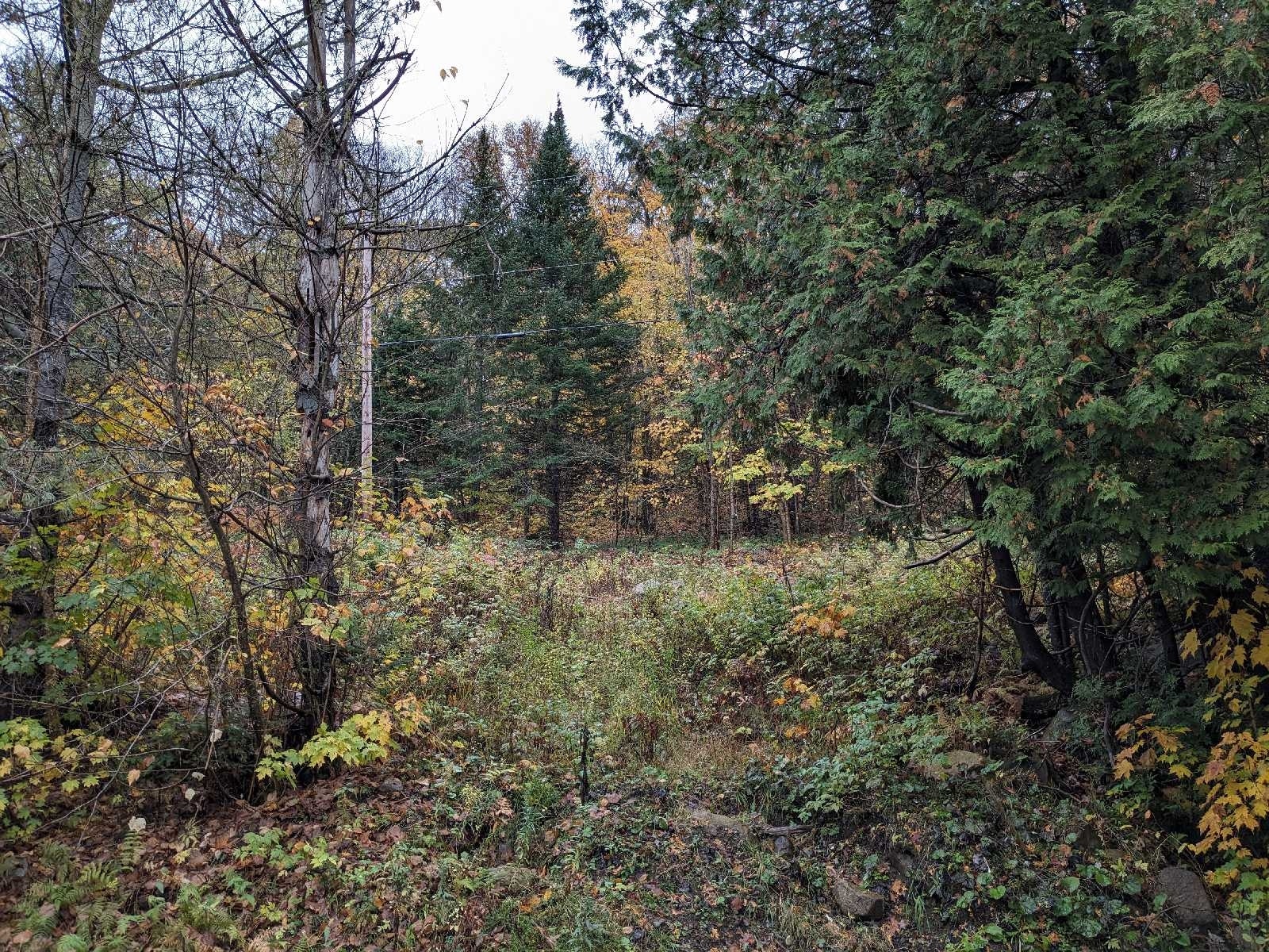72 Chem. du Lac Joseph — photo 2