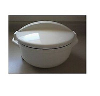 Plastic Container with Stainless Steel Lining