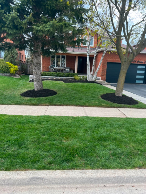 Spring Clean Ups / Lawn Care in Lawn, Tree Maintenance & Eavestrough in Hamilton - Image 4