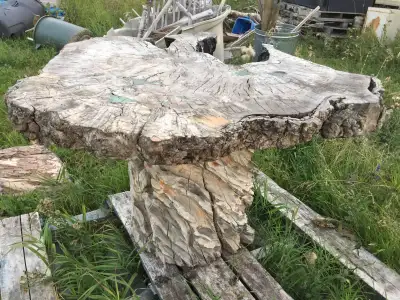Tree Stump Table. BEAUTIFUL UNIQUE ART, View more