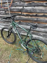 Devinci Cactus mountain bike 