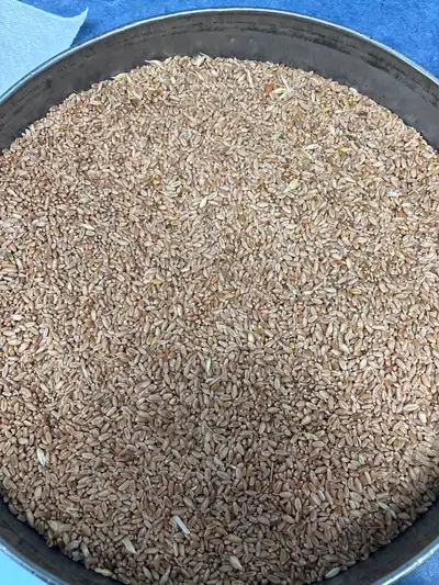 Clean chicken/bird feed, View more