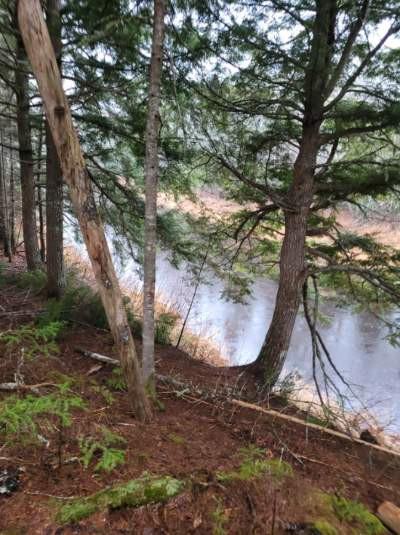 river lots for sale in Land for Sale in Moncton - Image 3