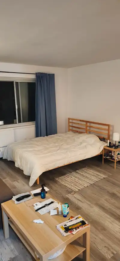Furnished Studio Sublet – Rue Saint-Mathieu, Downtown