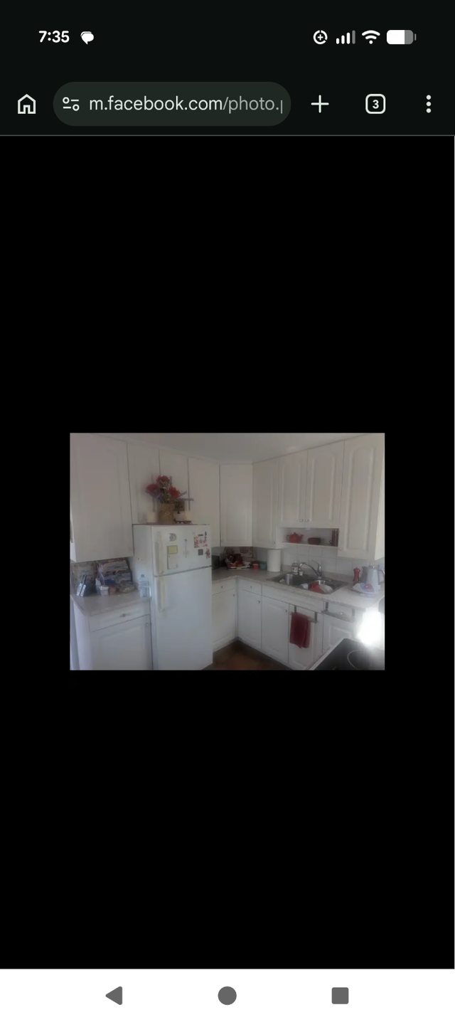Painter. 25+ years experience.601415051306618885