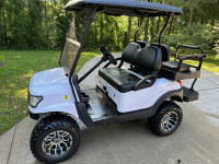 2016 Precedent Golf Cart - Perfect for Golfing or a Campground