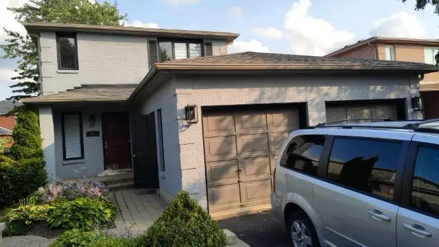 Painting services in Construction & Trades in Bedford - Image 8