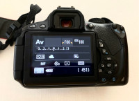 Canon T4i Camera Body and Accessories