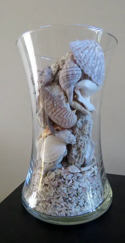 Vase et récipient avec couvercle, plein de coquillages Seashells