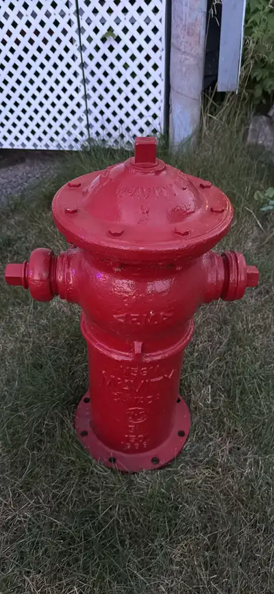 MCAvity Fire Hydrant 1966 Cast Iron, View more