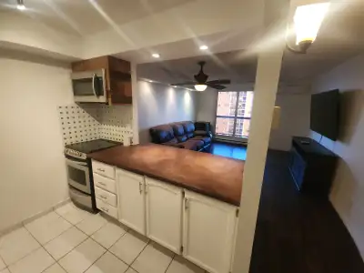 - 1 Bedroom 1 bathroom apartment - Heat/AC, electricity, water included - Large 10th floor balcony w...