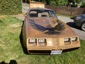 1980 Pontiac Firebird