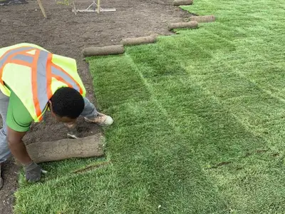 reliable help for sod installation projects , View more