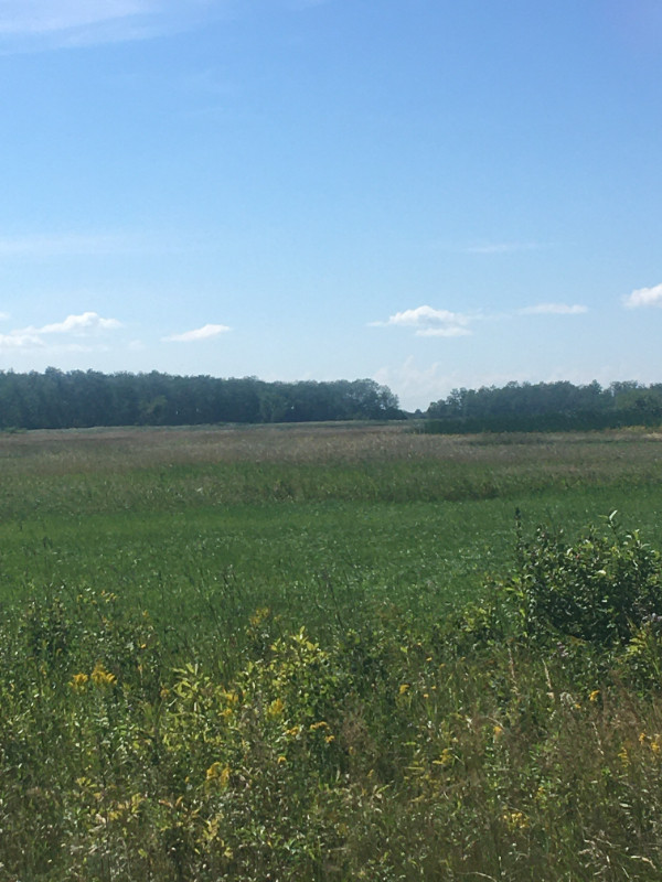 160 Acres for Sale in Interlake near Lundar Land for Sale Winnipeg