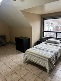 Newly renovated rooms for rent