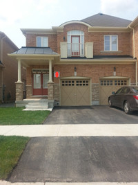1 Bedroom 1 Bath Basement with SHARED kitchen Milton Move Now