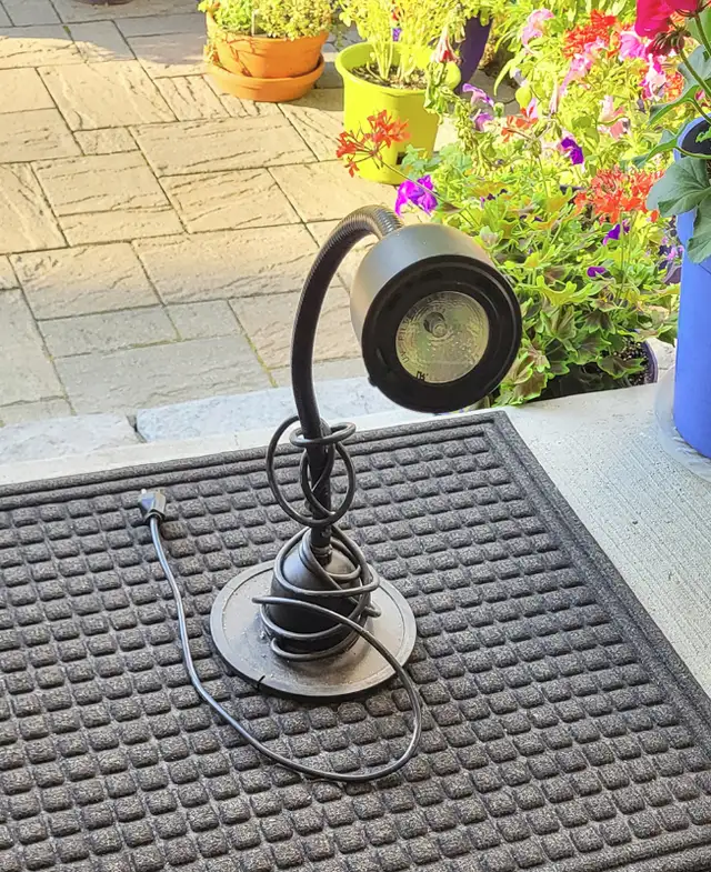 ?Halogen? DESK LAMP in Indoor Lighting & Fans in Ottawa - Image 2