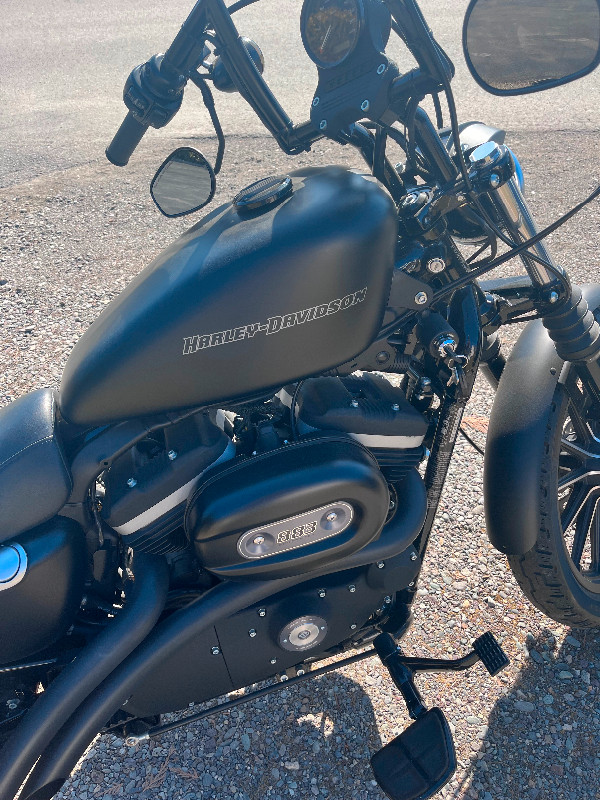 Harley Davidson 883 Sportster in Street, Cruisers & Choppers in Terrace - Image 3