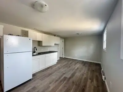 Fully Renovated 1-Bedroom Apartment in Sydney Mines