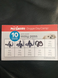 Pet Smart: 6 Days of Doggie Day Camp on a Pre-Paid Easy Pass