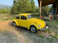 Type 1/1975 VW beetle 