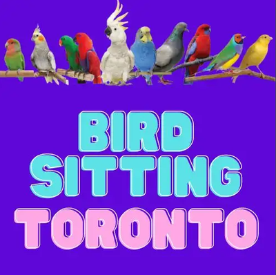 BIRD BOARDING TORONTO! | TEXT 647-490-7156, View more