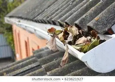 *"Gutter Emergency? We've Got You Covered!"*62863711433857124