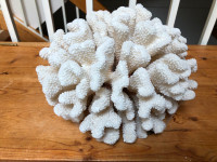 Amazing Vintage Cauliflower Coral from Hawaii