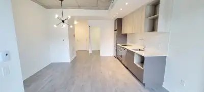 Beautiful condo with 1 bedroom and 1 den in Bois-Franc for rent