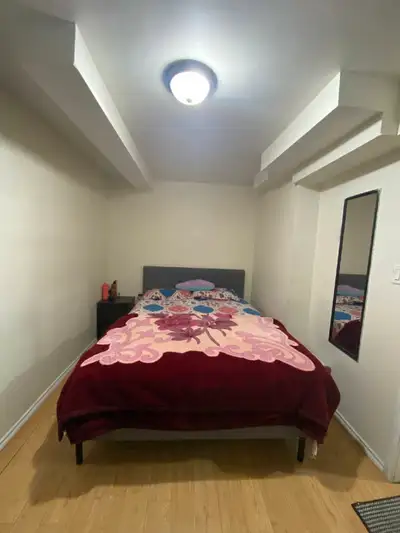 1 room basement for rent