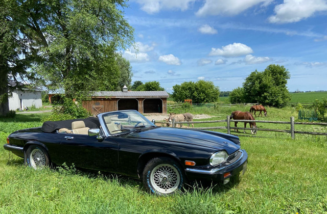 Beautiful 1991 Jaguar XJS Convertible in Cars & Trucks in Ottawa - Image 2