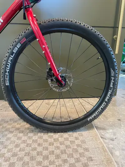 Surly Bridge Club XL, View more
