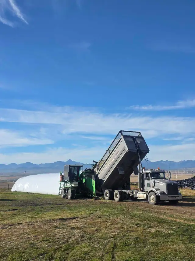 Custom Silage 586925087833477122